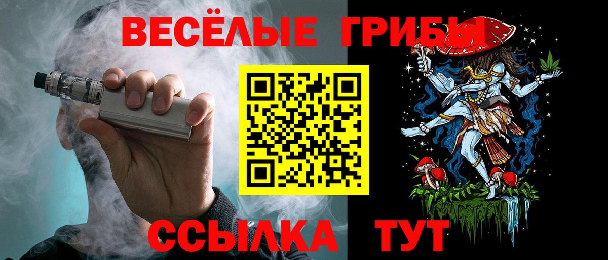 Галлюциногенные грибы мухоморы Кизилюрт