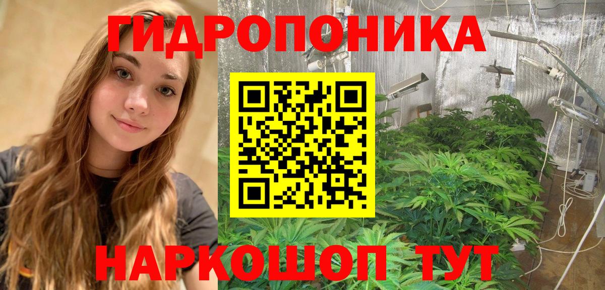 Бошки Шишки марихуана  Канабис VHQ  Кизилюрт  Вход с VPN  МАРИХУАНА Ganja 